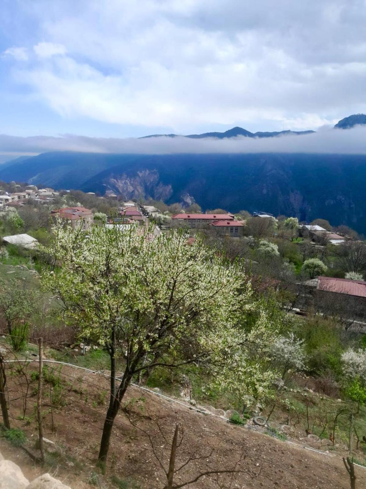 Armen * Halidzor