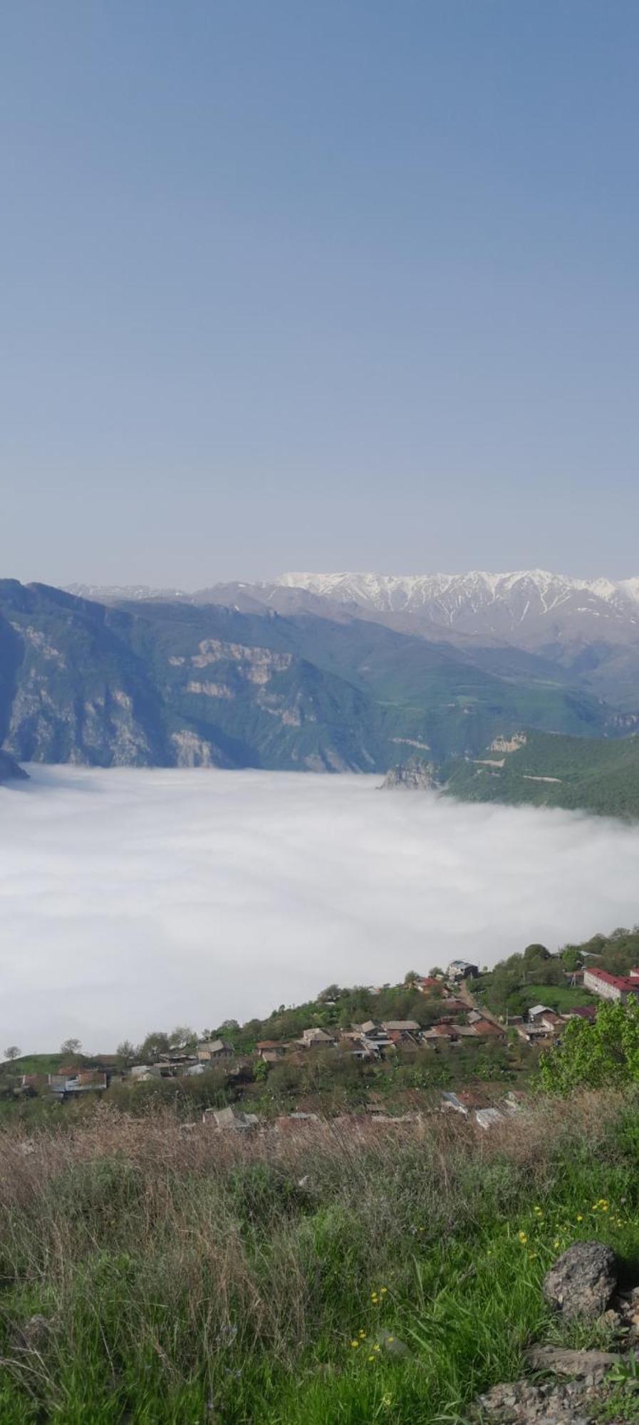Armen Halidzor
